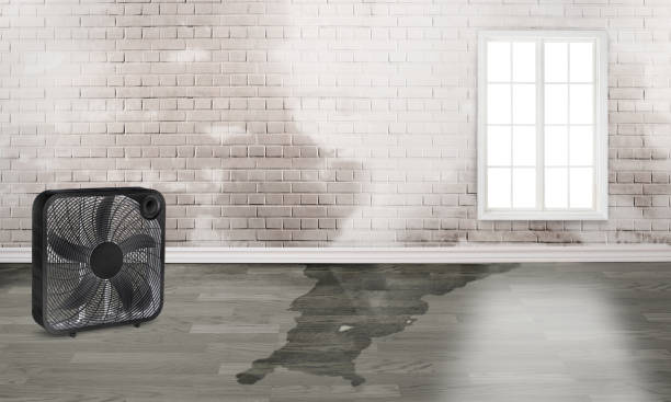 Best Commercial water damage restoration  in Chickamau, GA